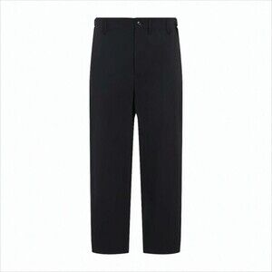 Lemaire Minimalist Tailored Straight-Leg Pants With Matte Finish - NWT